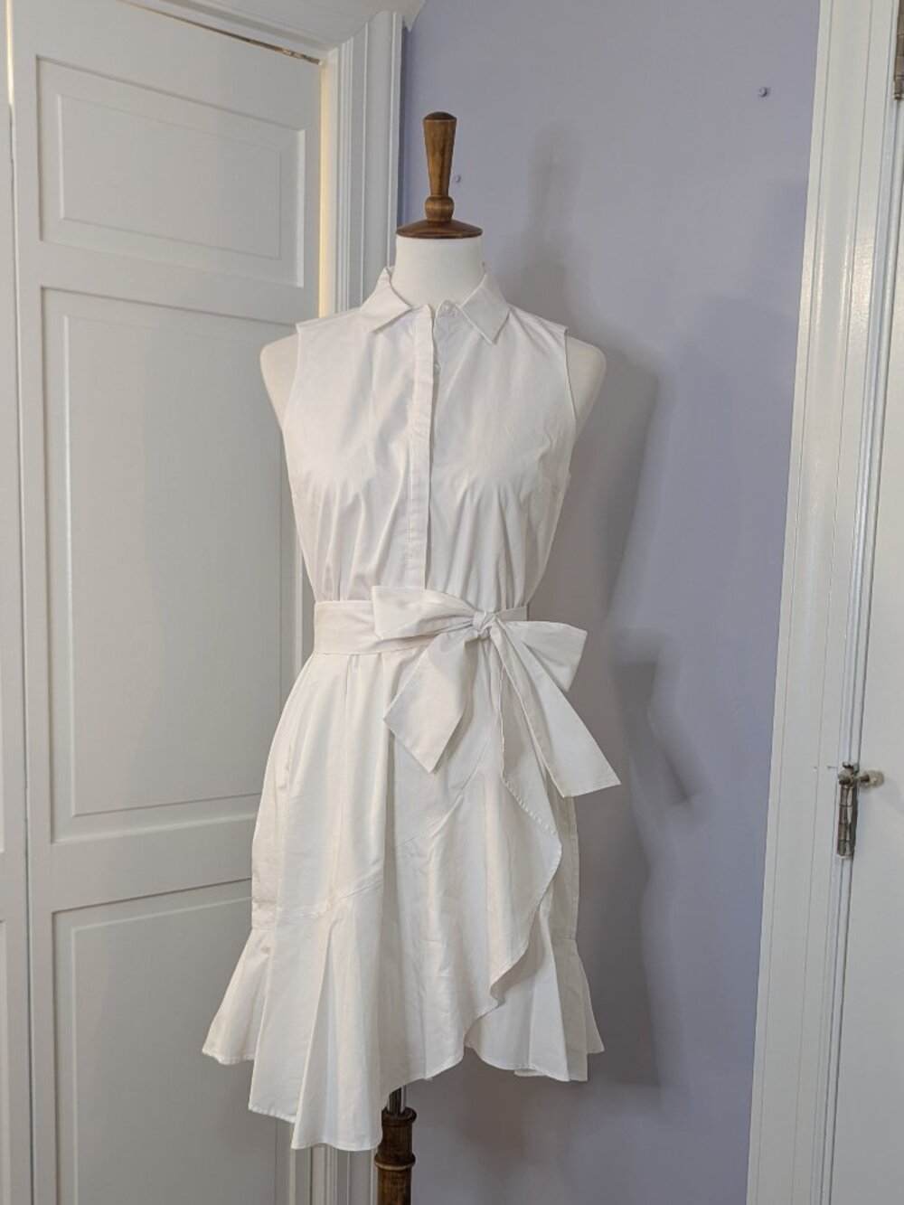 Express Boyfriend Poplin Portofino Shirt Dress Mini